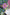 Soft Wild Bloom Jacket S